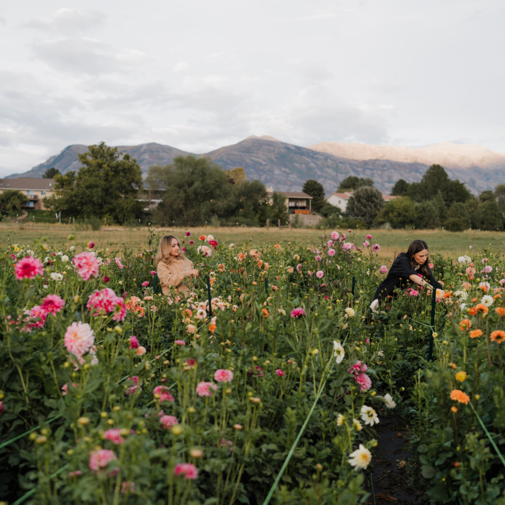 Flower garden with mountain landscape