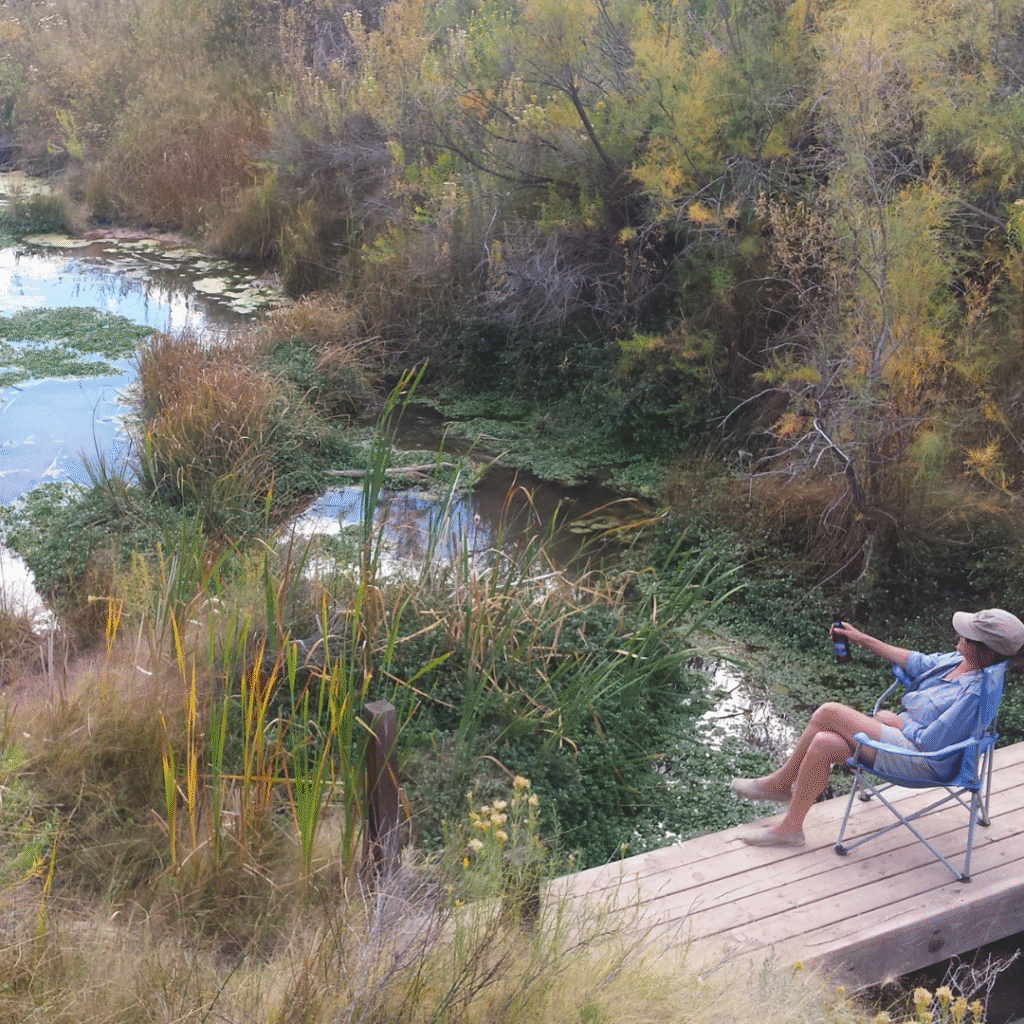 A person wearing a sun hat and blue shirt relaxes in a folding chair on a wooden dock, overlooking a lush, marshy pond surrounded by dense green and yellow vegetation.