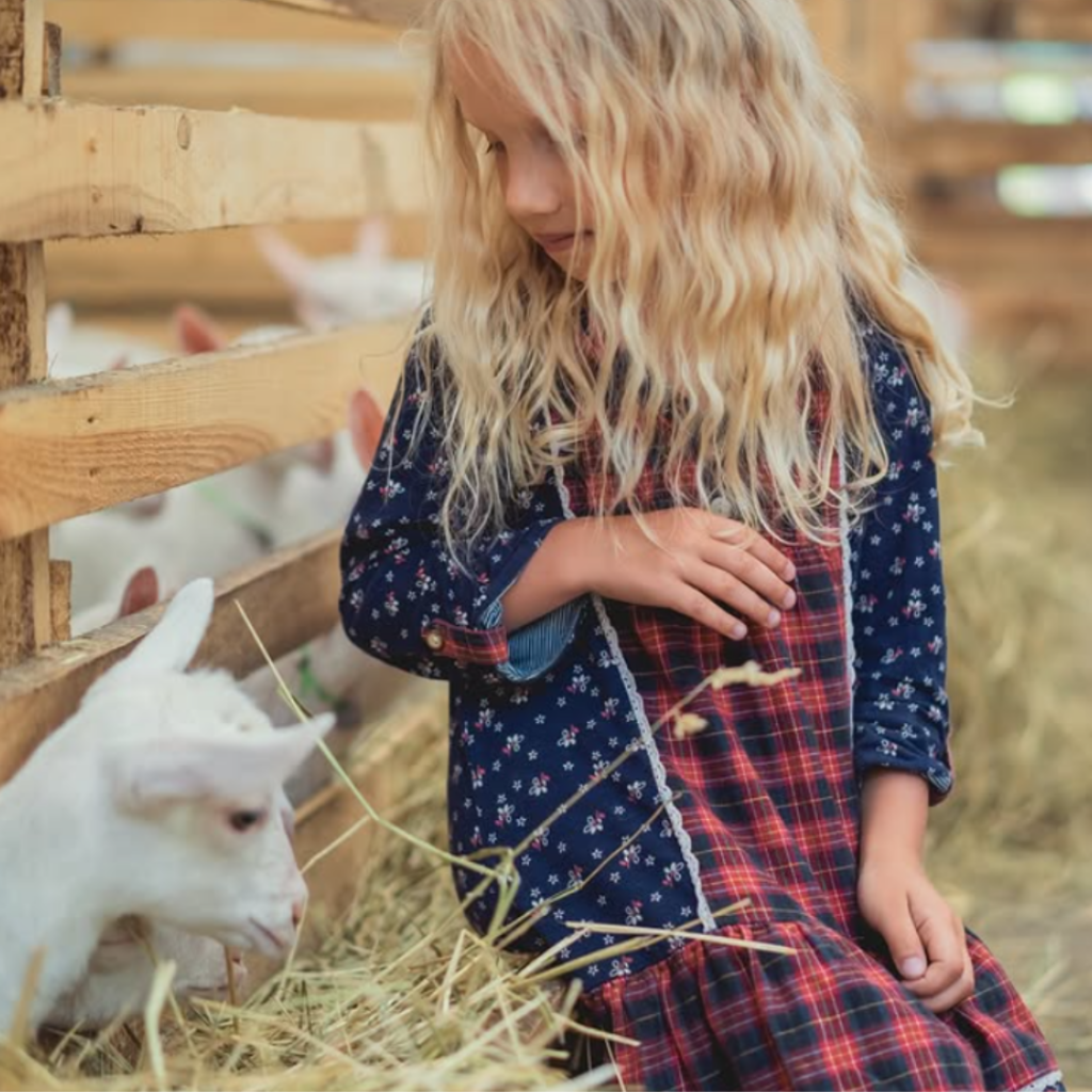young girl sitting on a bale of hay petting a goat