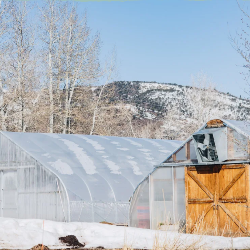 A wide shot of two green houses with a snowy mountain backdrop