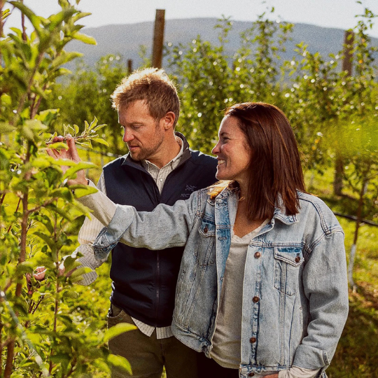 A man and woman looking at vines in a vineyard