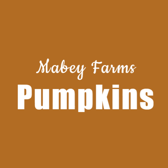 Farm logo that reafs "Mabey Farms Pumpkins" in white text over rust orange background.
