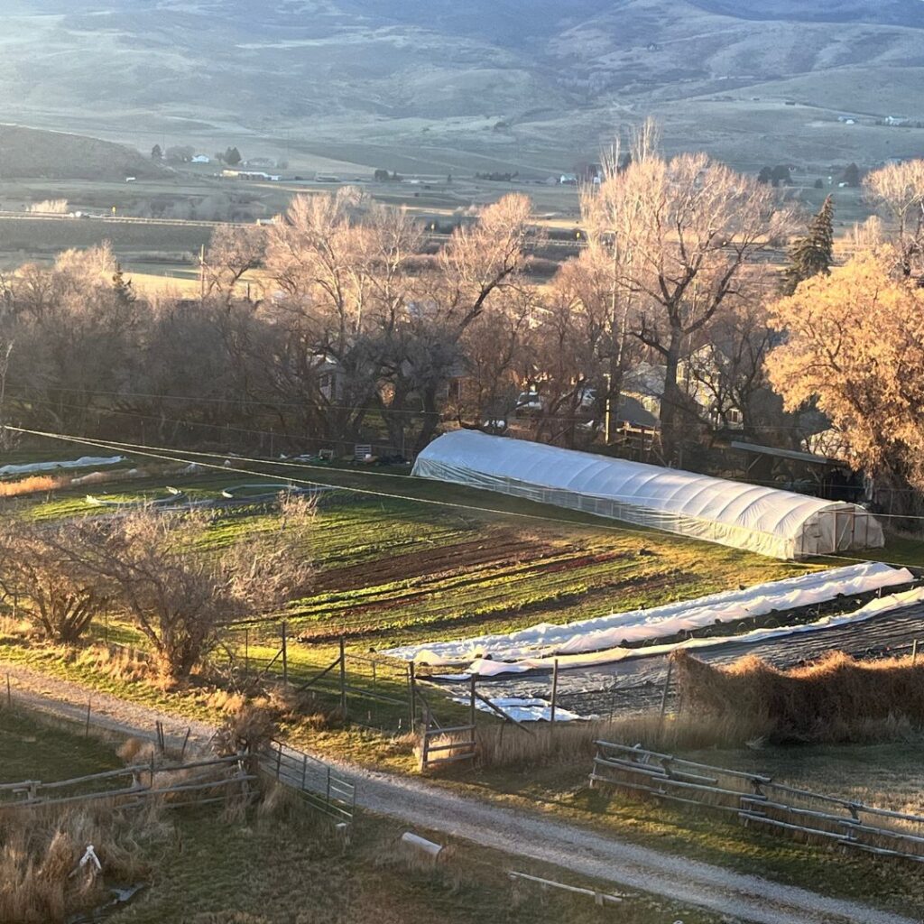 An elevated view of the farm at golden hour, showing a large white high tunnel, garden beds with row covers, and a dirt driveway.