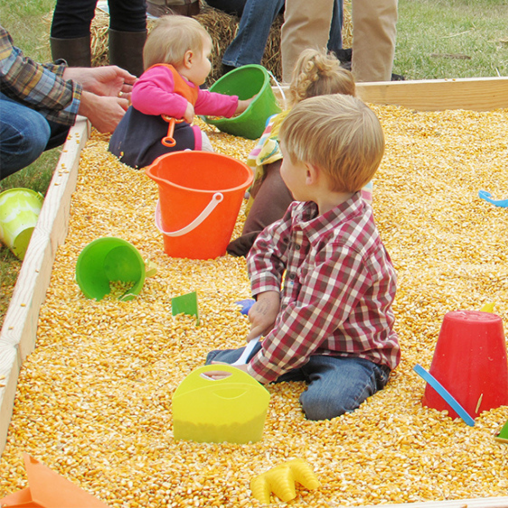 Young children playing in corn pit