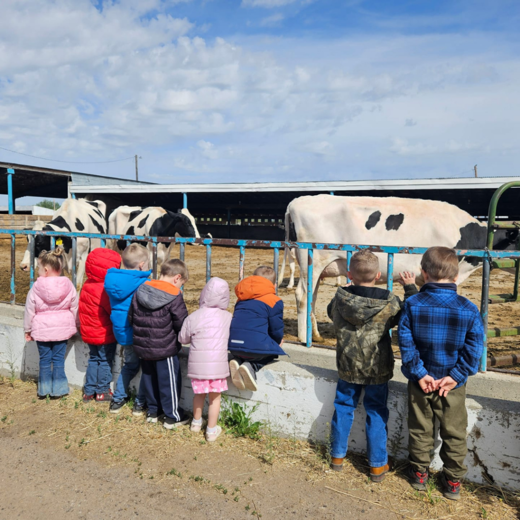 Children looking at dairy cows
