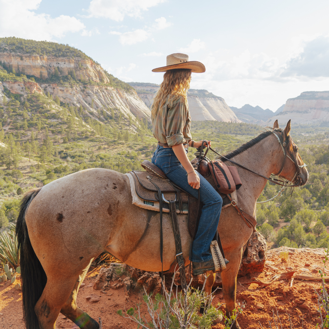 girl on horsback looking out into a desert view