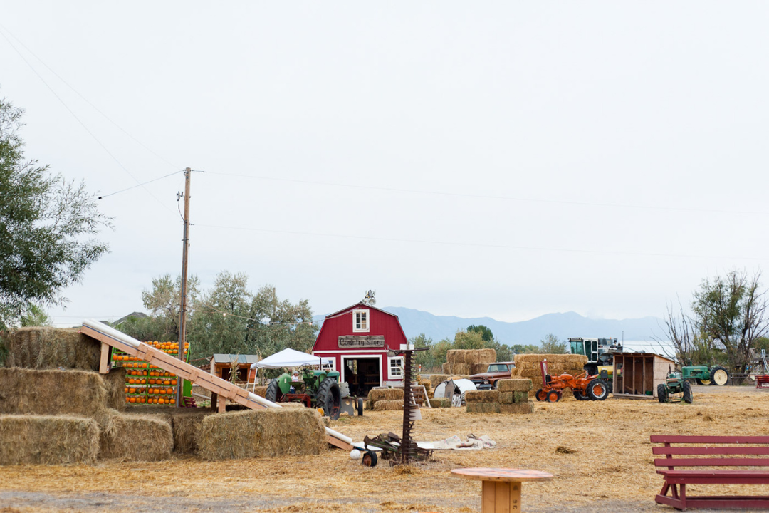 farm with a red barn and hay and pumpkins