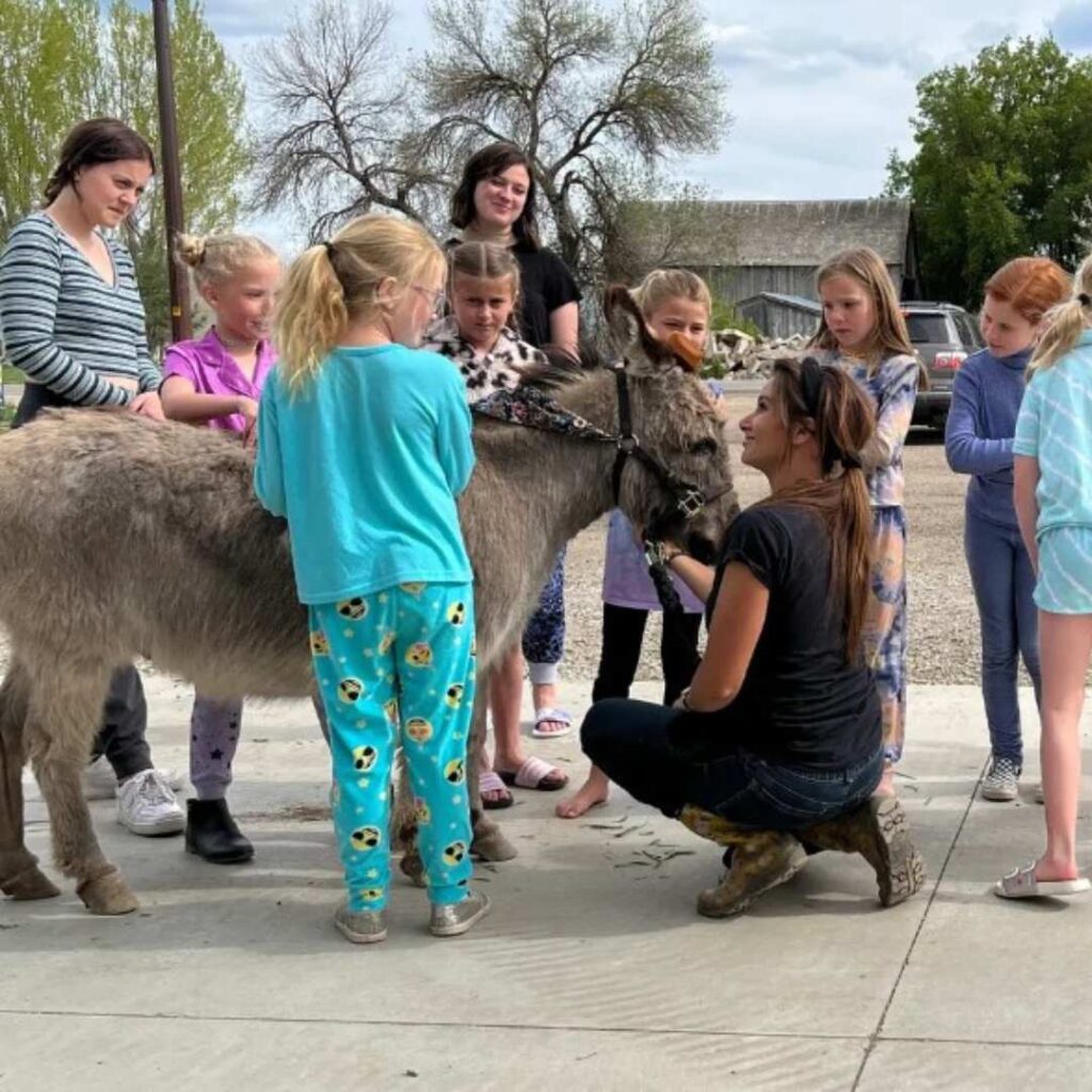 group of kids petting a donkey